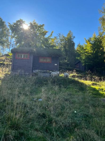 På billedet ses objektet Tradisjonell norsk hytte i vakre Rasdalen beliggende i byen Evanger.