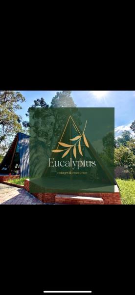 Na foto é possível ver o objeto Eucalyptus Cottages localizado na cidade de Chakvi.