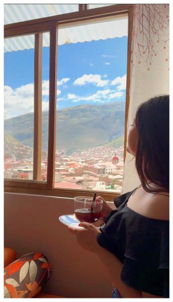 Op de foto is het object Montafé Mirador te zien, gelegen in de stad Tarma.