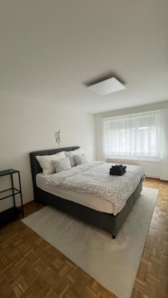 A la foto es mostra l'objecte Modern Apartment in Basel situat a la ciutat de Basilea.