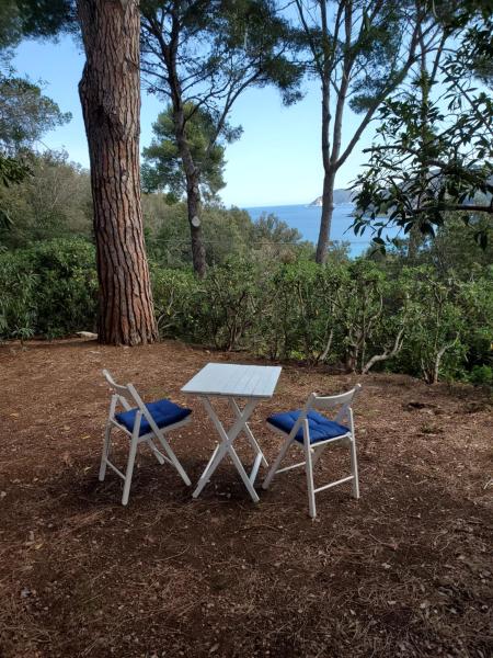 Nella foto è visibile l'oggetto Casa degli Ulivi situato nella città di Procchio.
