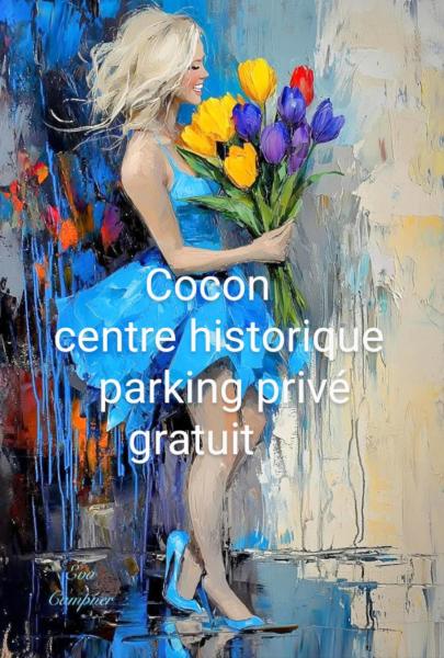 På billedet ses objektet Cocon centre historique beliggende i byen Bergerac.