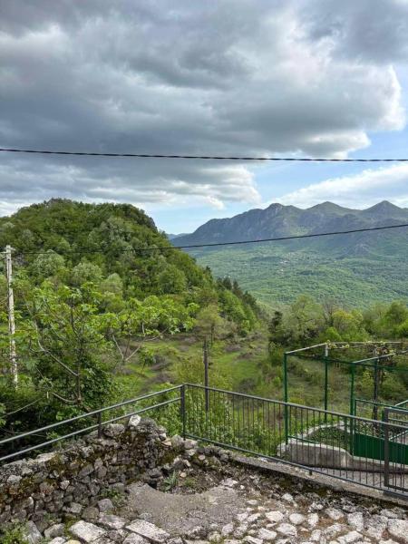 The photo shows the Lipovac guest house located in the city of Dupilo.