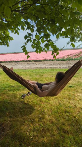 Zdjęcie 7: empty spot on grass Camping The Tulip no beds