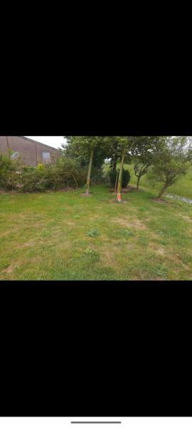 Zdjęcie 2: empty spot on grass Camping The Tulip no beds