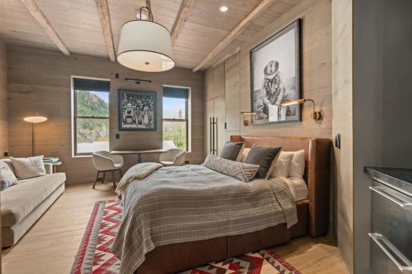 Independence Square 301, Great Hotel Room With Excellent Location & Rooftop Hot Tub - Aspen, CO