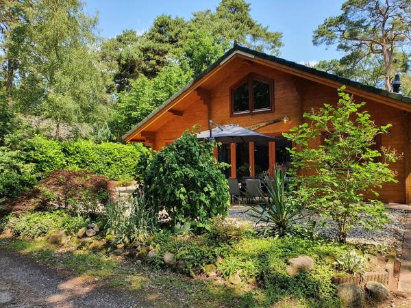 A la foto es mostra l'objecte Villa in Forest with Private Sauna situat a la ciutat de Markelo.