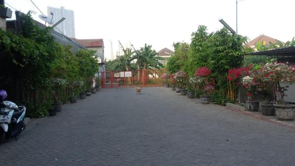 The photo shows the Taman Paradise Homestay located in the city of Gandel.