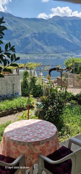 Cute Studio With Garden And Terrace,by The Sea - Kotor