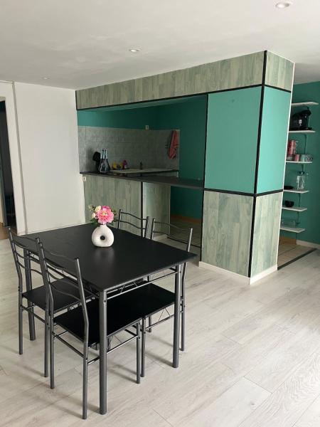 Na fotografii je vidět objekt Appartement Mauriac nacházející se ve městě Ally.