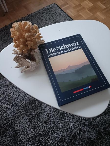 På billedet ses objektet Freude Unterkunft Basel beliggende i byen Allschwil.