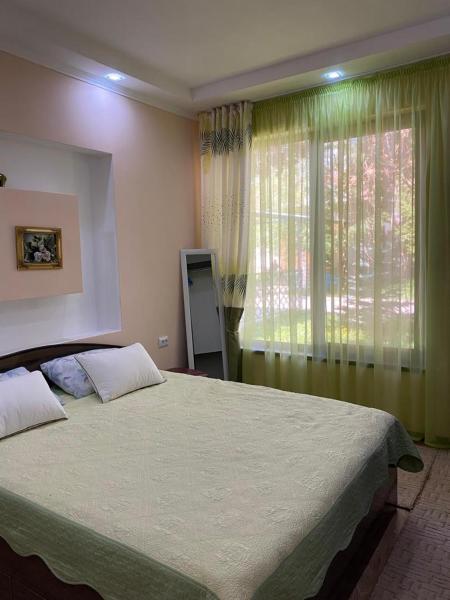 照片显示了位于Anan'yevo市的Laguna City Family Cottages in Issyk-Kyl物件。