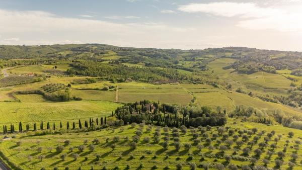 Podere Fignano, Holiday Home - Apartments Renovated 2024 - New Swimming Pool