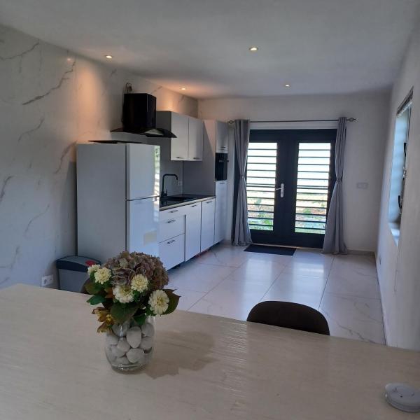 Flamingo Apartment - Regal Rentals Curacao, Willemstad