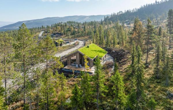 Nella foto è visibile l'oggetto Gorgeous Home In Nesbyen With Wifi situato nella città di Nesbyen.