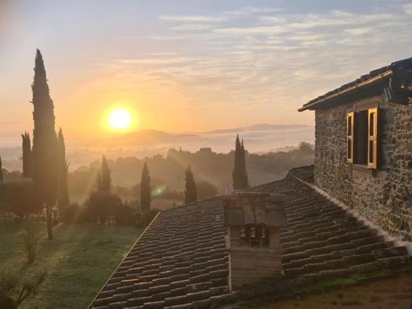 Luxury Tuscan Farm Stay, 1 Bedroom With A Pool - Anghiari