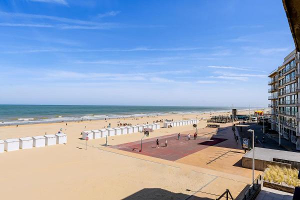 Foto 8: Idesende 40204