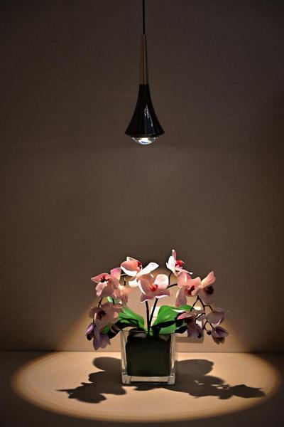 Billede 5: 芭提雅快乐老家