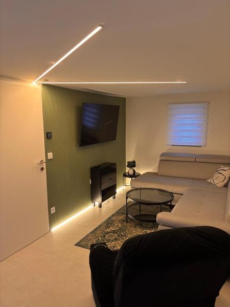 A la foto es mostra l'objecte Modern room with terrace situat a la ciutat de Obereching.