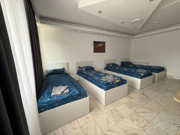 A la foto es mostra l'objecte Casa Stefan situat a la ciutat de Piteşti.