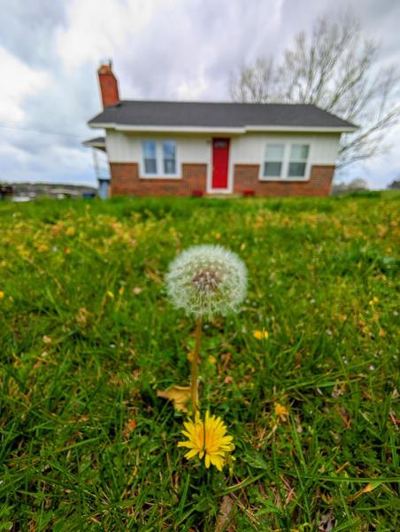 A la foto es mostra l'objecte Mountain View Cottage situat a la ciutat de Lineville.