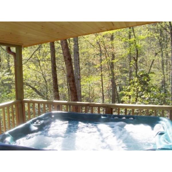 A la foto es mostra l'objecte Cabin on the Hill-Peaceful 1BR 20-Acre Rural Retreat-HotTub&WiFi near Asheville situat a la ciutat de Horace.