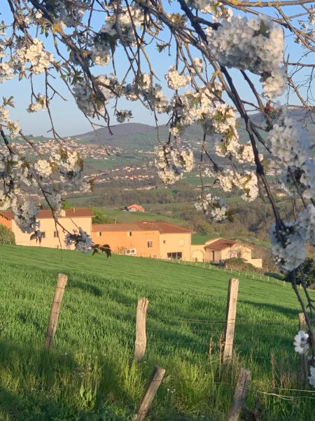 На фото показан объект Gîte Belle Vue à Savigny proche de Lyon, расположенный в городе Ancy.