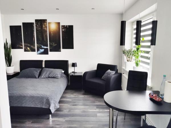 Central studio apartment, Liepāja