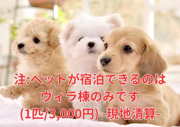 Bilde 7: 伊豆高原テントリゾート