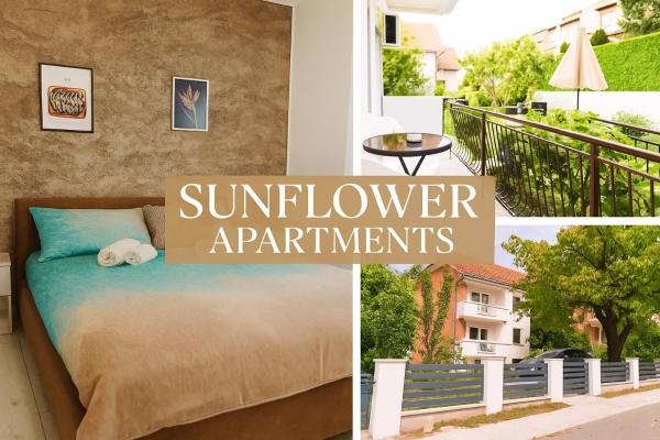 Sunflower Apartmani, Sokobanja