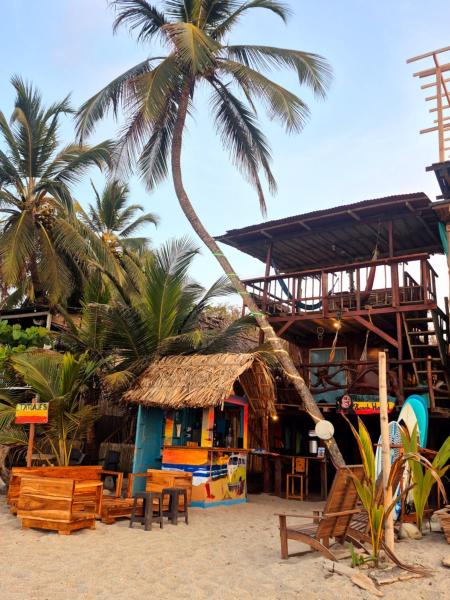 照片显示了位于Playa Mendiguaca市的Bob Marley Beach物件。