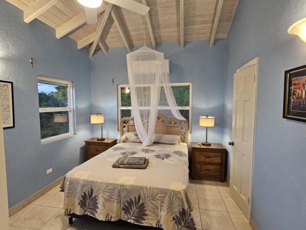 En la foto se muestra el objeto Caribbean Sea View Cottage ubicado en la ciudad de Cades Bay.