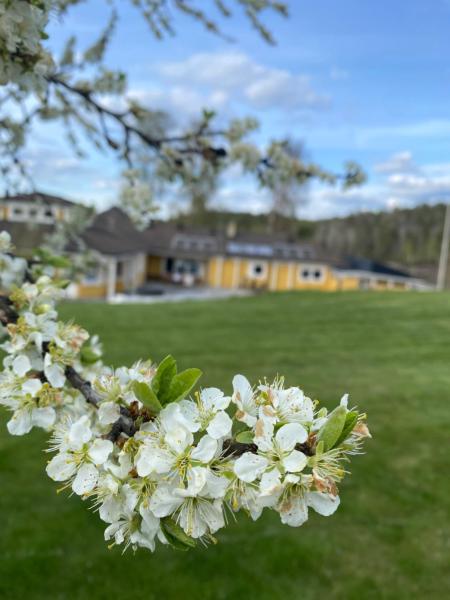 Nella foto è visibile l'oggetto Skönero, Valdemarsvik situato nella città di Gryt.
