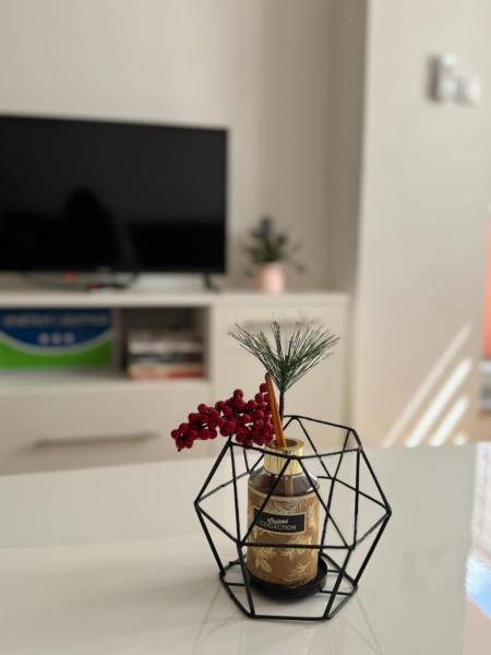 Apartment ANDI Istocno Sarajevo