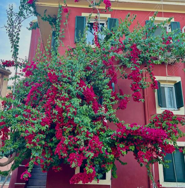 Corfu Port Home- City Centre Apartment - Corfou