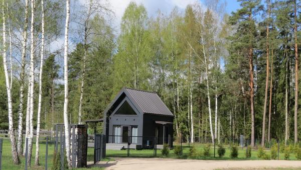 Seaside & Forest Hideaway