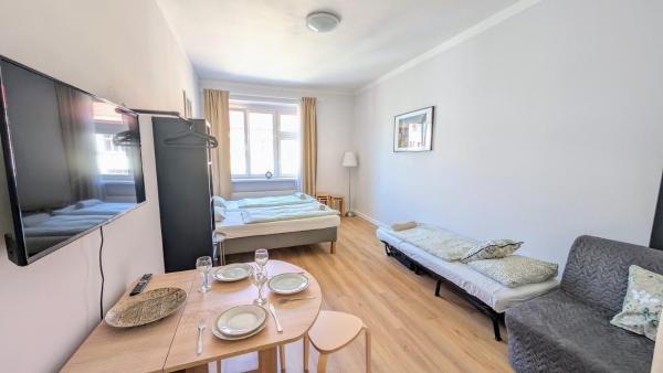 Flat in Zizkov -403-, Prague