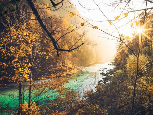 A la foto es mostra l'objecte NaturparkResort Salzahalt situat a la ciutat de Wildalpen.