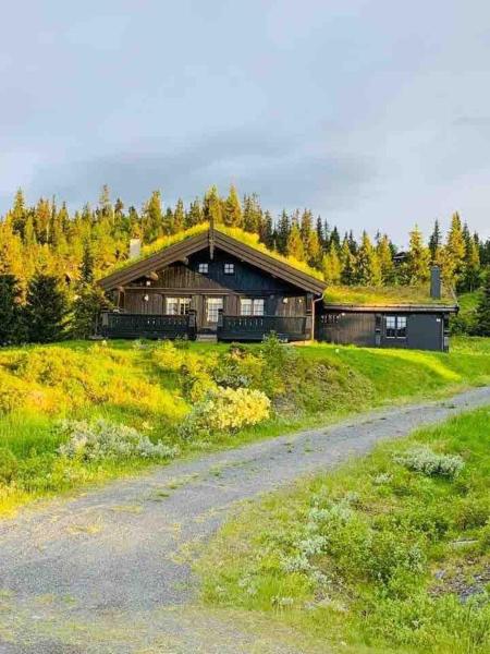 På bildet vises objektet Trollslottet på Skeikampen som ligger i byen Aulstad.