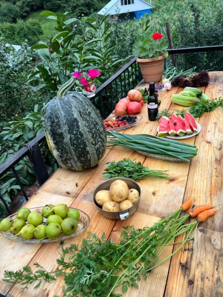 A la foto es mostra l'objecte Hotel Dabadzvel situat a la ciutat de Gomarduli.