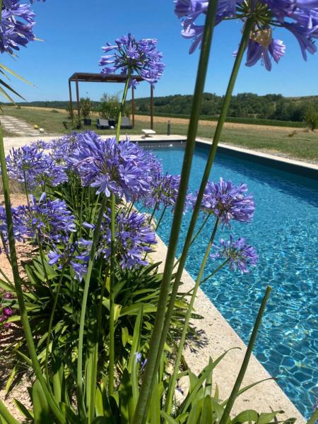 A la foto es mostra l'objecte Le clos du Broca situat a la ciutat de Masseube.