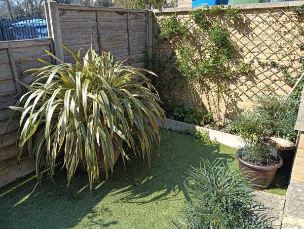 Foto 9: 1 Bed flat in East Dulwich