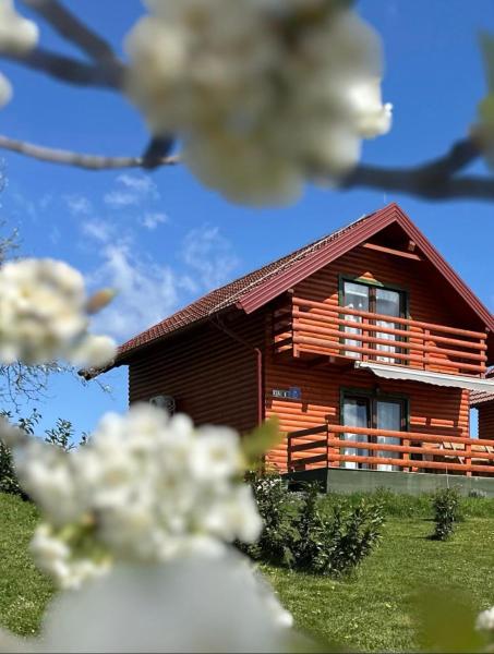 Na fotografii je vidět objekt Resort Dudukovic 1 nacházející se ve městě Veljun.