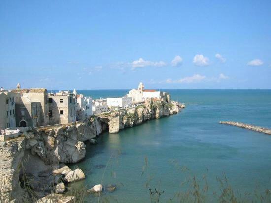 Na fotografii je vidět objekt Appartamento Vieste Centro vista Mare nacházející se ve městě Vieste.