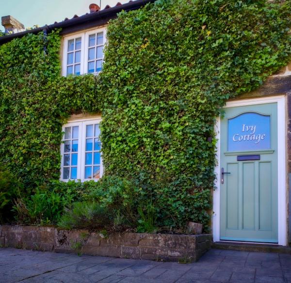 Nella foto è visibile l'oggetto Ivy Cottage situato nella città di Eston.
