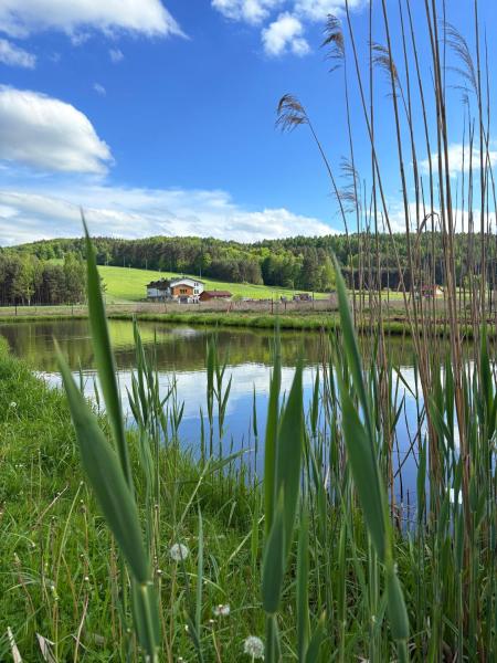 Urocze Roztocze Jacnia - Domek 2 - Polen