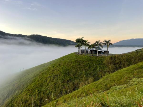 På billedet ses objektet Jabiru Lodge Daintree beliggende i byen Daintree.