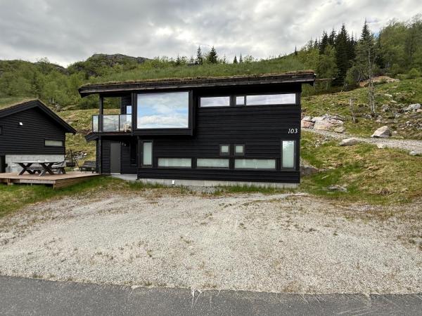 Nella foto è visibile l'oggetto Private Cottage in Sirdal close to Summer Park situato nella città di Sinnes.