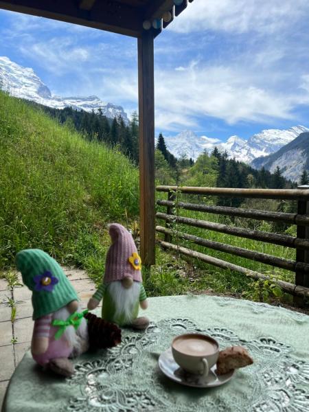 Fotografia 6: Bed & Breakfast in car-free Wengen - Hop in Nest BnB