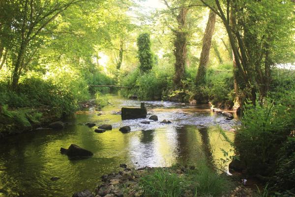 Nella foto è visibile l'oggetto Le Moulin du Guer situato nella città di Guerlédan.